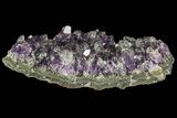 Purple Amethyst Cluster - Uruguay #66718-1